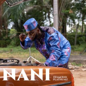 Diamond Platnumz - Nani (Amapiano) Diamond Platnumz - Nani (Amapiano)