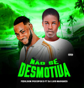 Fedilson Pocopoco Ft Dj Luis Marques - Não Se Desmotiva